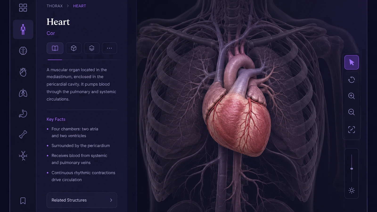 Inline visual: app context